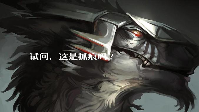 试问，这是抓痕吗?